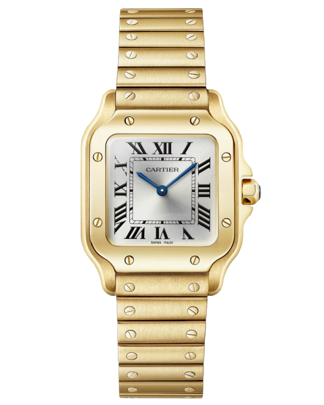 Cartier Santos de Cartier Watch WGSA0107