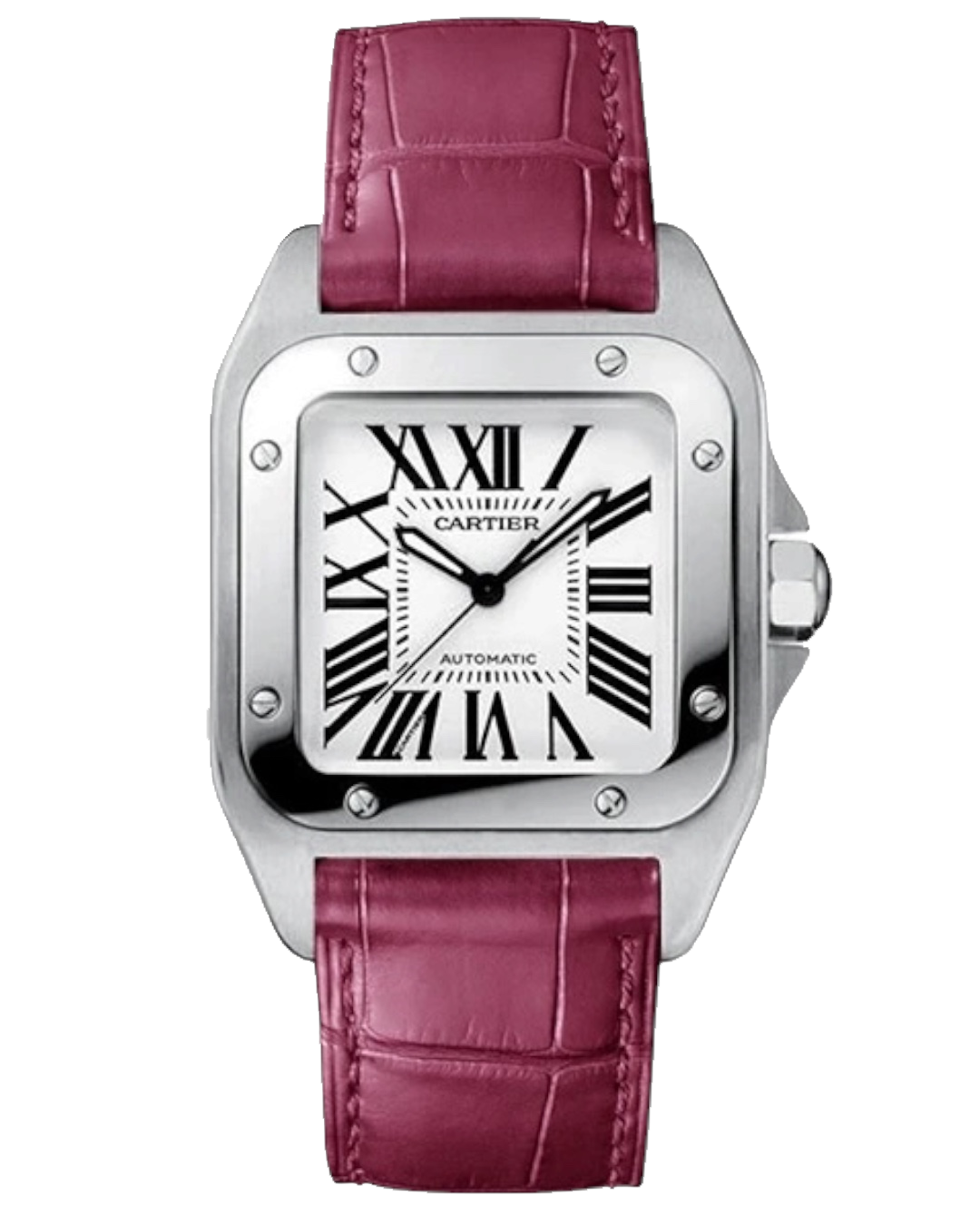 Cartier Santos W20106X8
